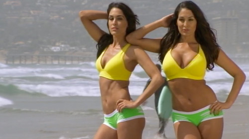 Bella Twins Birthday Bella Twins Birthday